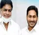 YCP Leader Pathapati Sarraju Passed Away