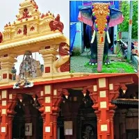 Robotic Elephant in Trissur