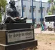 pg doctor suicide attempt in warangal MGM Hospital