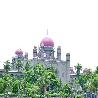 Telangana HC pulls up municipal body over killing of boy by stray dogs