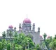Telangana HC pulls up municipal body over killing of boy by stray dogs