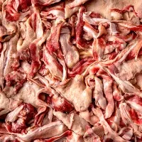 Bio fuel and electricity from slaughterhouse wastage