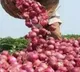 Maharashtra farmer sells 512 kg onion receives only of Rs 2