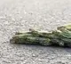 Harsh Goenka shares insightful video of caterpillars to describe what unity means