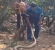 A rare white swethanaagu snake in the jalaripeta visakhapatnam