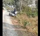 Rhino attacks on vehicle as visitors injured
