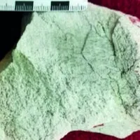 410 crores aged Zircon samples found in Telangana