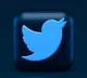 Twitter lays off product manager who led Blue subscription project