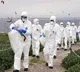 11 years old girl dead with Bird Flu in combodia