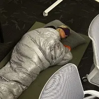 Senior Twitter exec who slept on office floor worked hardcore for Elon Musk now fired by Twitter boss