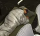 Senior Twitter exec who slept on office floor worked hardcore for Elon Musk now fired by Twitter boss