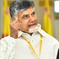 Jagan dares TDP, Jana Sena to contest all Assembly seats