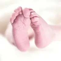 Infant sleeping next to mother in Rajasthan govt hospital killed by stray dogs