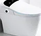 Smart toilets detect daily fluctuations  serious disease