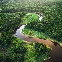Man claims he ate worm and drank rainwater to survive in Amazon Rainforest for 31 days