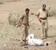 Maharashtra jalgaon police beaten a man for helping his child copy in exam