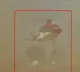 karnataka ex cm bs yediyurappa chopper makes emergency landing post technical glitch
