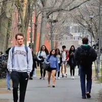 USCIS announced the premium processing of applications for OPT from international students in the STEM