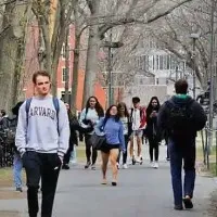 USCIS announced the premium processing of applications for OPT from international students in the STEM