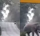 Elephant stops truck on highway to grab some sugarcane in viral video Toll tax collector says Twitter
