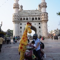 జెఫ్రీ ద జిరాఫీని మీరు చూశారా ?