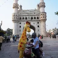 జెఫ్రీ ద జిరాఫీని మీరు చూశారా ?