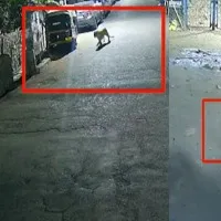 Leopard Roaming near residential society in Bhawani Nagar at Andheri East