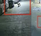 Leopard Roaming near residential society in Bhawani Nagar at Andheri East