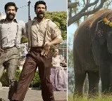What are LA punters betting on? 'Naatu Naatu' and 'The Elephant Whisperers'