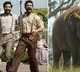 What are LA punters betting on? 'Naatu Naatu' and 'The Elephant Whisperers'
