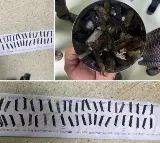 Rajasthan man swallows 56 blades