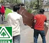 DCCB Officials Remove Doors Of A Farmer As A Loan Recovery