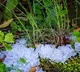 Hail storm in some places of Telangana