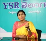 Sharmila fires on KTR for his comments in Pitlam rally