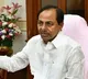 TSPSC Chairmen meets CM KCR