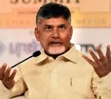 chandrababu naidu fires on cm ys jagan