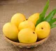 Can Diabetes patients eat mangoes