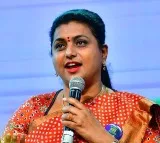 Roja fires on TDP