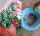 Man Dips Leafy Veggies In Chemical Solution Watch What Happens Next