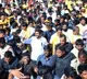Lokesh appreciates MLC winners