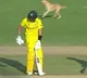 Stray Dog Halts India vs Australia Match For A While