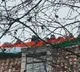 Indian embassy officials large tricolor flag in high commission amid khalistani protests