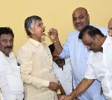 Chandrababu celebrates victory of Panchumarthi Anuradha