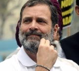 A day after conviction, Rahul disqualified from Lok Sabha