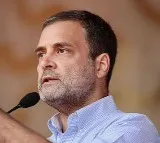 Rahul Gandhi disqualified as Lok Sabha MP