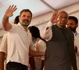 Mallikarjun Kharge reacts on Lok Sabha disqualified Rahul Gandhi