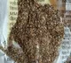 Gold like dust comes from a bore well in Odisha