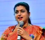 YSRCP wins 175 seats sats Roja