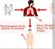 Chile detects 1st case of bird flu in human