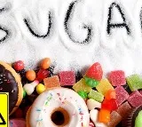 Elon Musk reacts to sugar is poison post on twitter